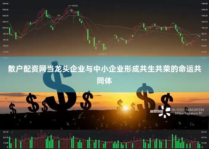 散户配资网当龙头企业与中小企业形成共生共荣的命运共同体