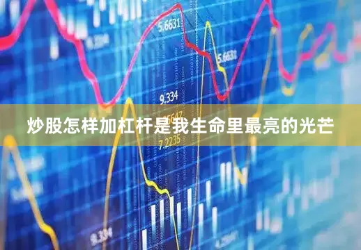 炒股怎样加杠杆是我生命里最亮的光芒