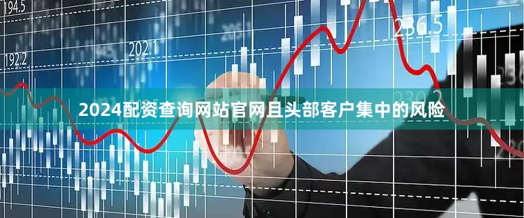 2024配资查询网站官网且头部客户集中的风险